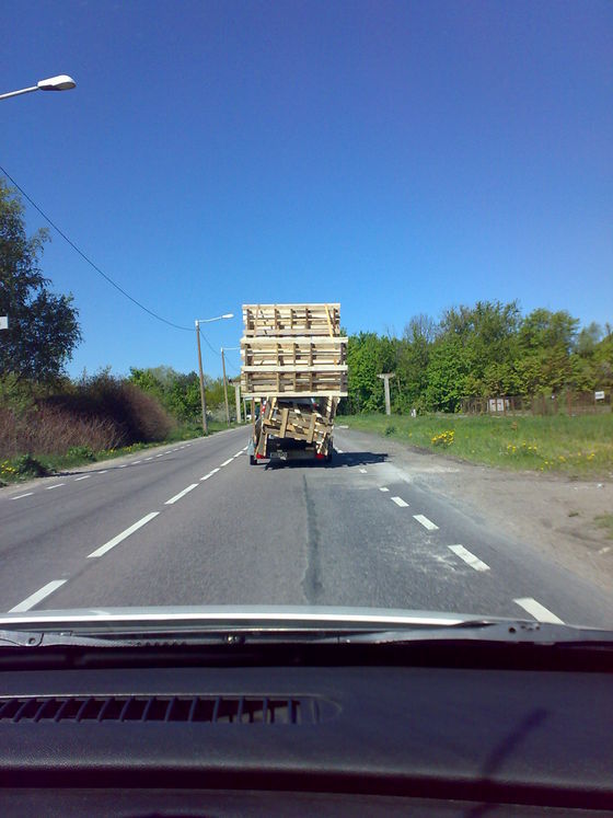 Pilt